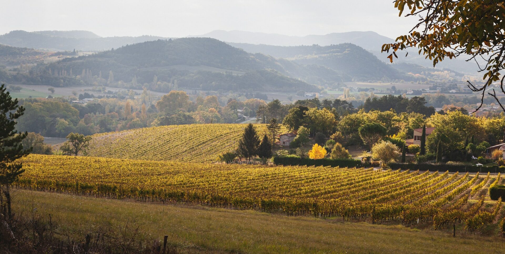 Autumn in Drôme Provençale, France Autumn in Drôme Provençale, France